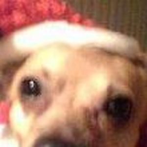 Meet your Posher, Maureen